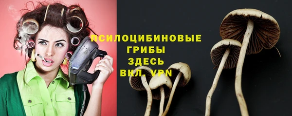 скорость Няндома