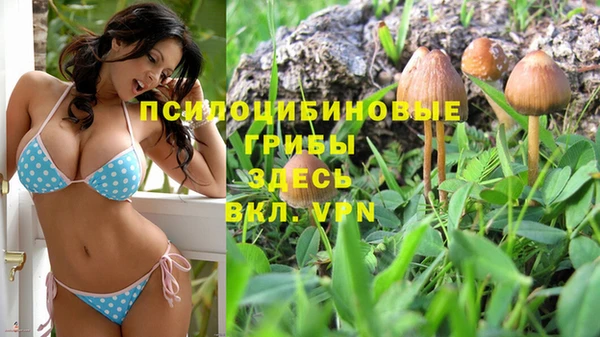 скорость Няндома